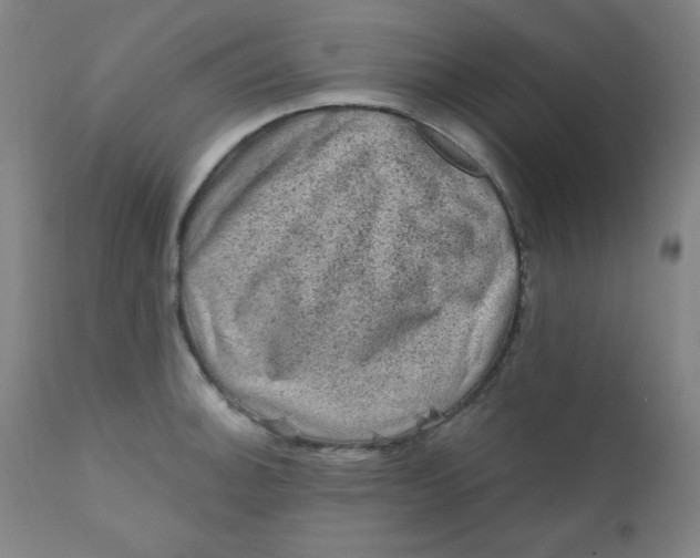 X0000112421140200909041406