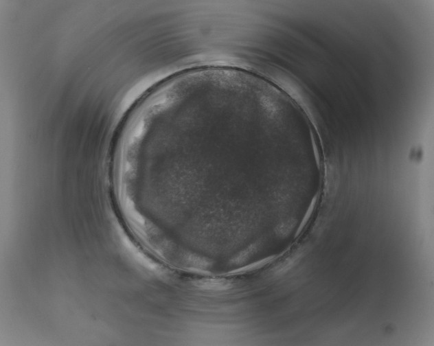 X0000112421141200909041406