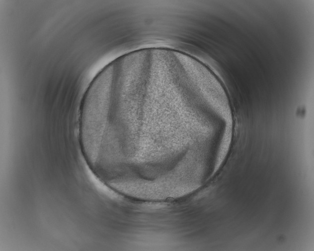 X0000112421143200909041406