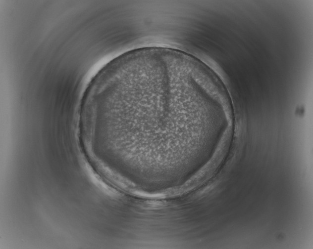 X0000112421144200909041406