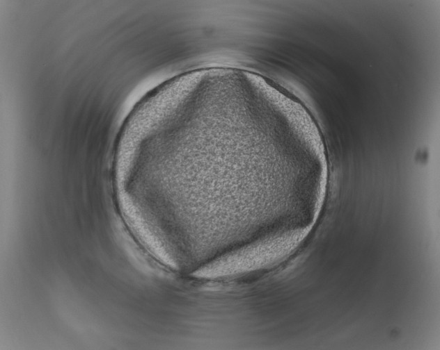 X0000112421146200909041406