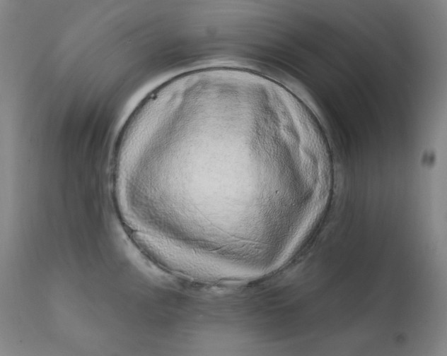 X0000112421148200909041406