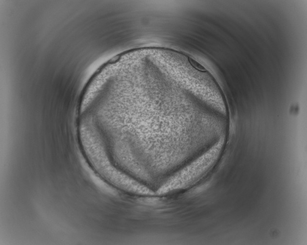 X0000112421149200909041406