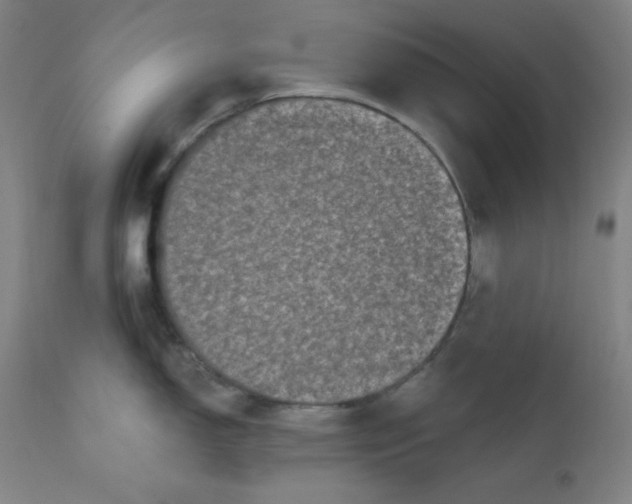 X0000112421150200909041406