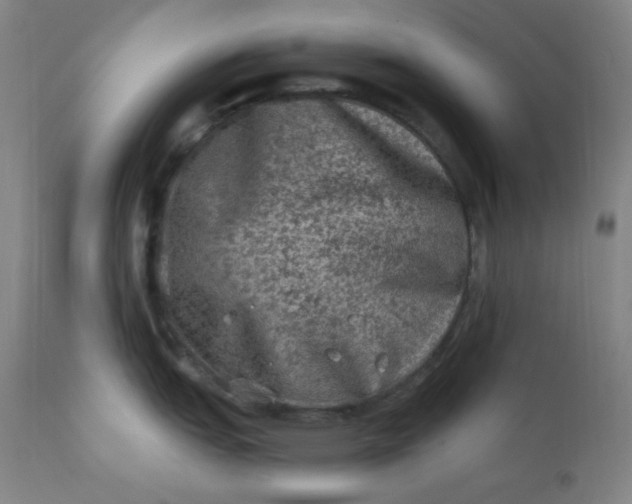 X0000112421151200909041406