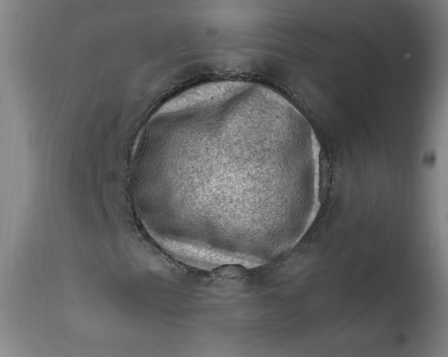 X0000112421153200909041406