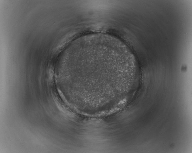 X0000112421154200909041405