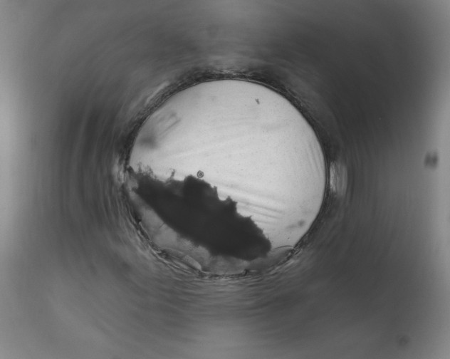 X0000112421155200909041405