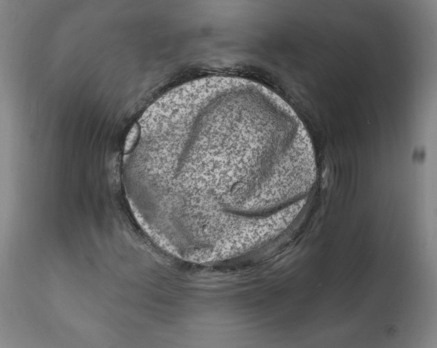 X0000112421156200909041405