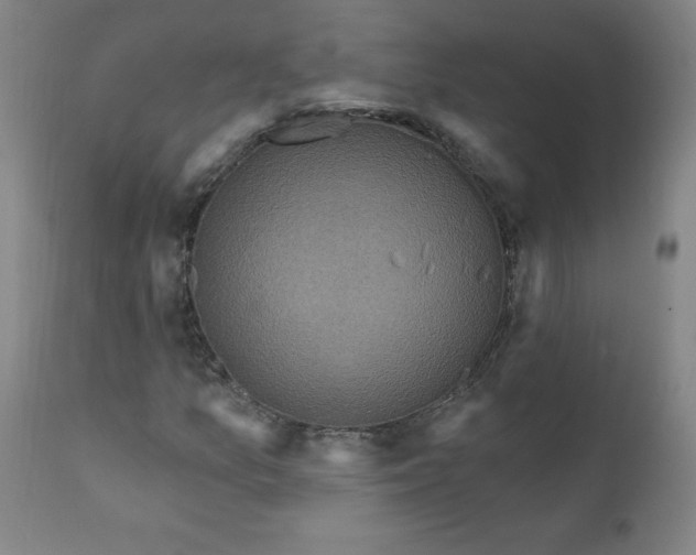 X0000112421157200909041405