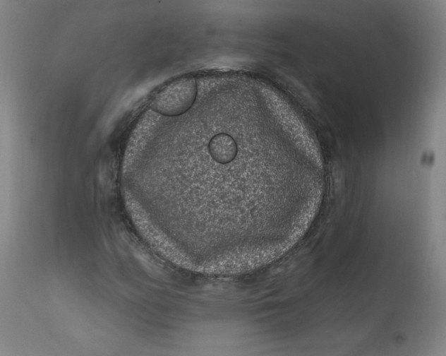 X0000112421158200909041405