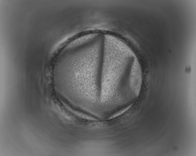 X0000112421159200909041405