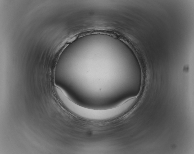 X0000112421161200909041405