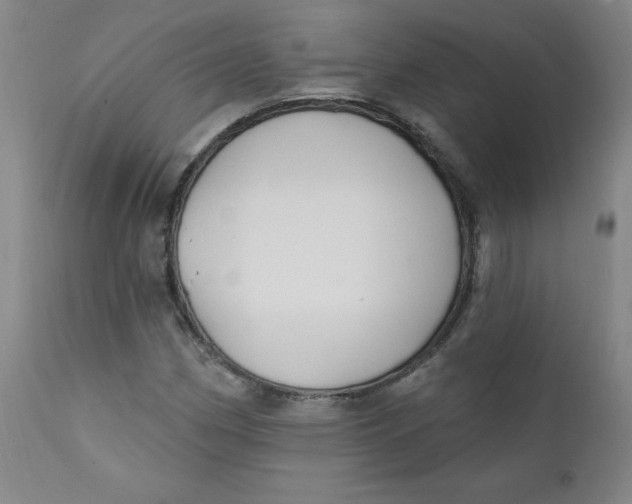 X0000112421162200909041405