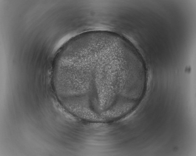 X0000112421163200909041405