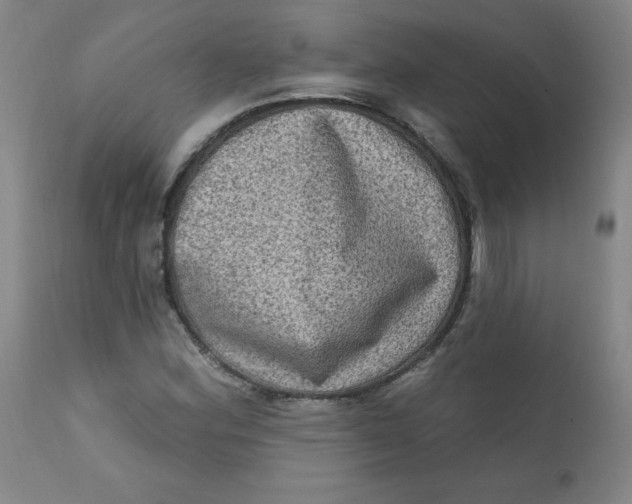 X0000112421164200909041405