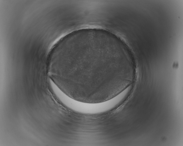 X0000112421165200909041405