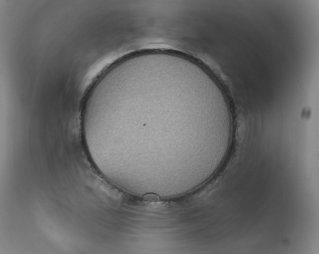 X0000112421167200909041405