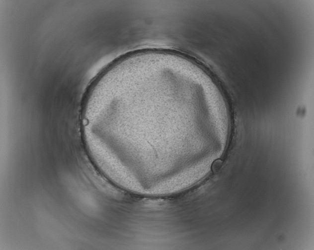 X0000112421168200909041405