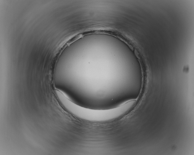 X0000112421169200909041405