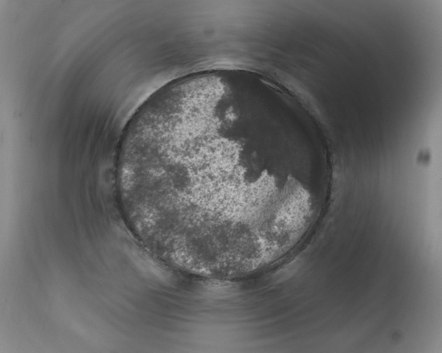 X0000112421170200909041405