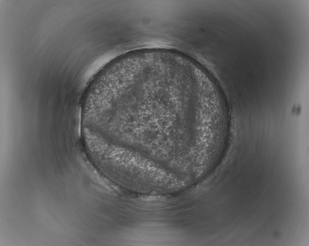 X0000112421171200909041405