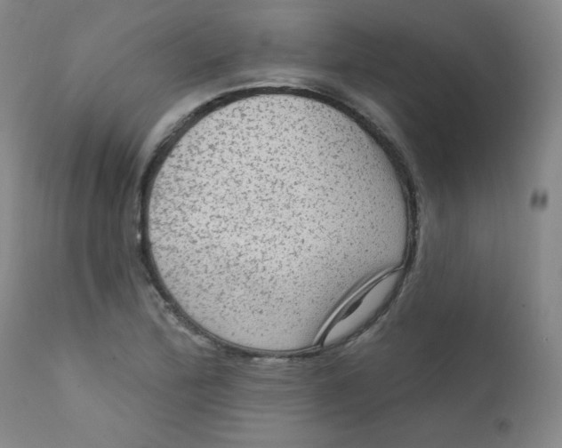 X0000112421172200909041405