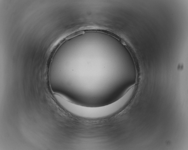 X0000112421173200909041405