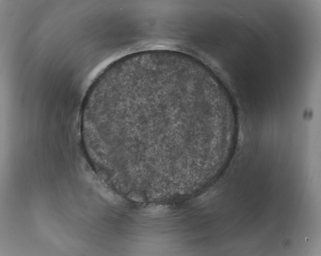 X0000112421174200909041405