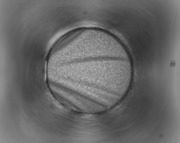 X0000112421175200909041405