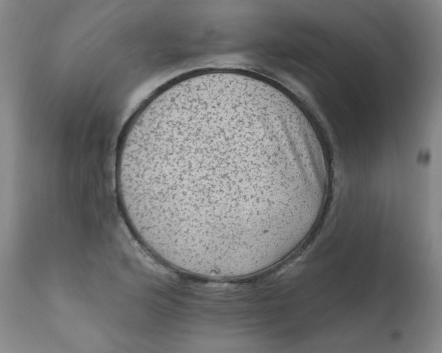 X0000112421176200909041405