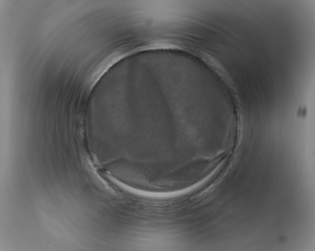 X0000112421177200909041405