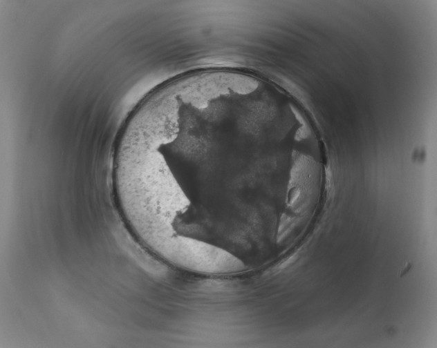 X0000112421179200909041405