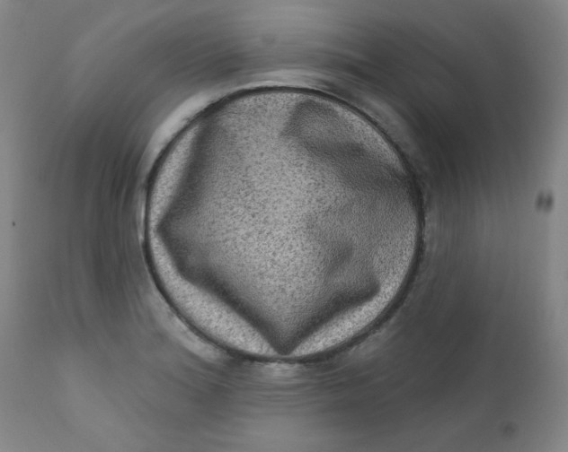 X0000112421180200909041405