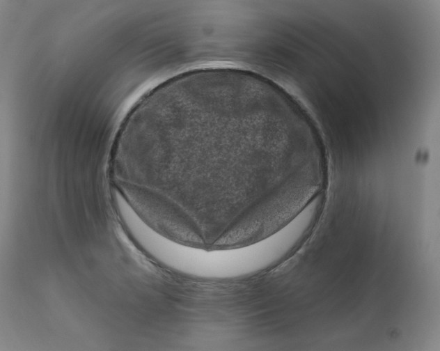 X0000112421181200909041405