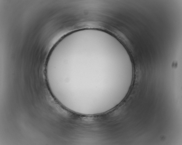 X0000112421182200909041405