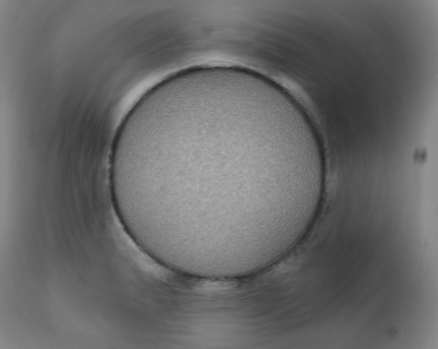 X0000112421183200909041405