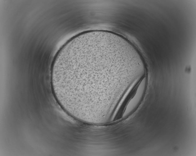 X0000112421184200909041405