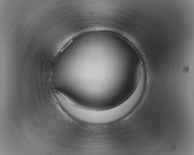 X0000112421185200909041405