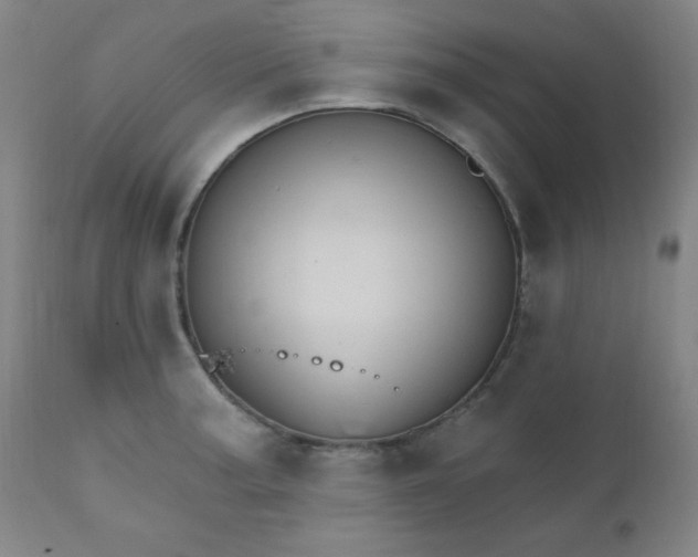 X0000112421187200909041405