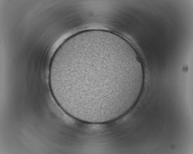 X0000112421188200909041405