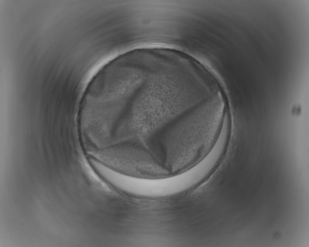 X0000112421189200909041405