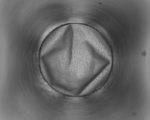 X0000112421192200909041405