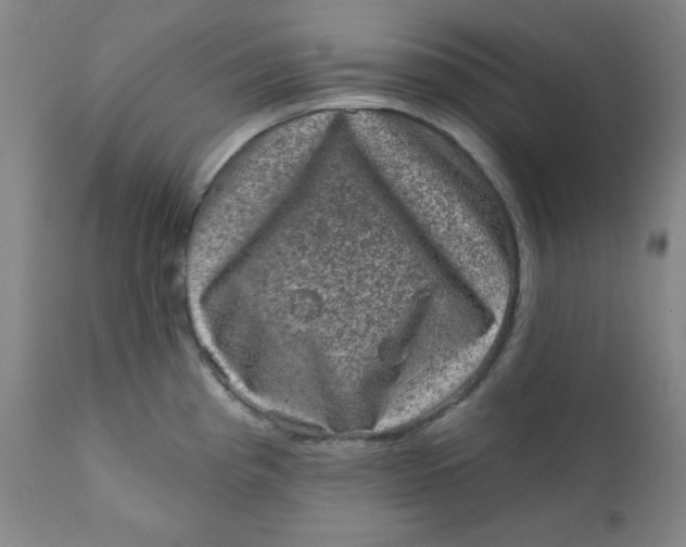 X0000112421193200909041405