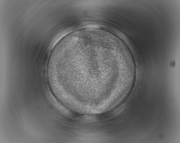 X0000112421194200909041405