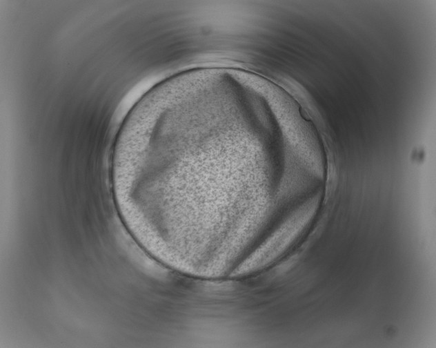 X0000112421196200909041405