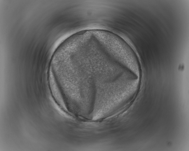 X0000112421197200909041405