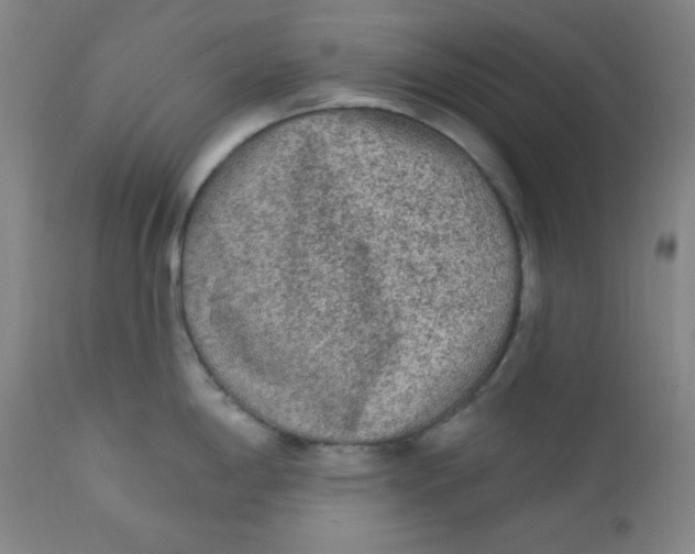 X0000112421198200909041405