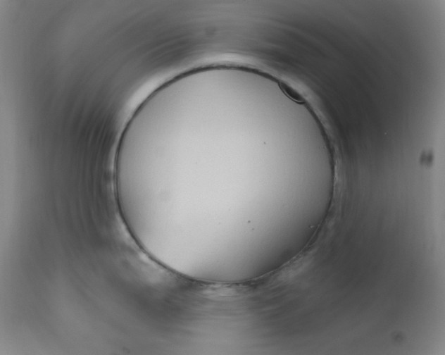 X0000112421199200909041405