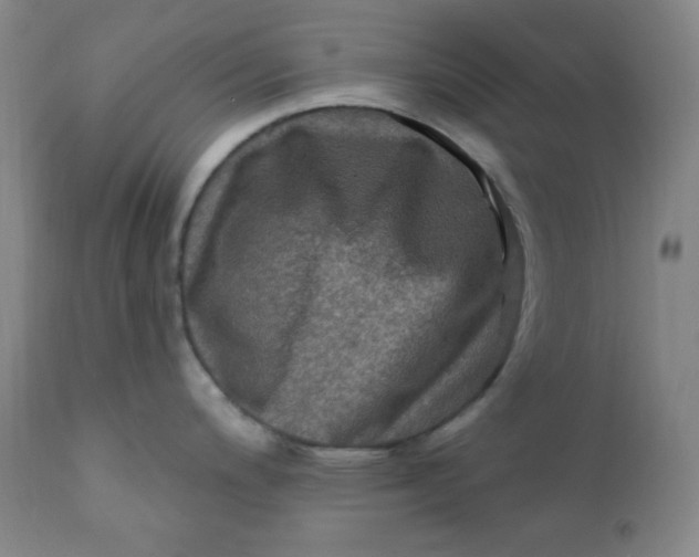 X0000112421200200909041405